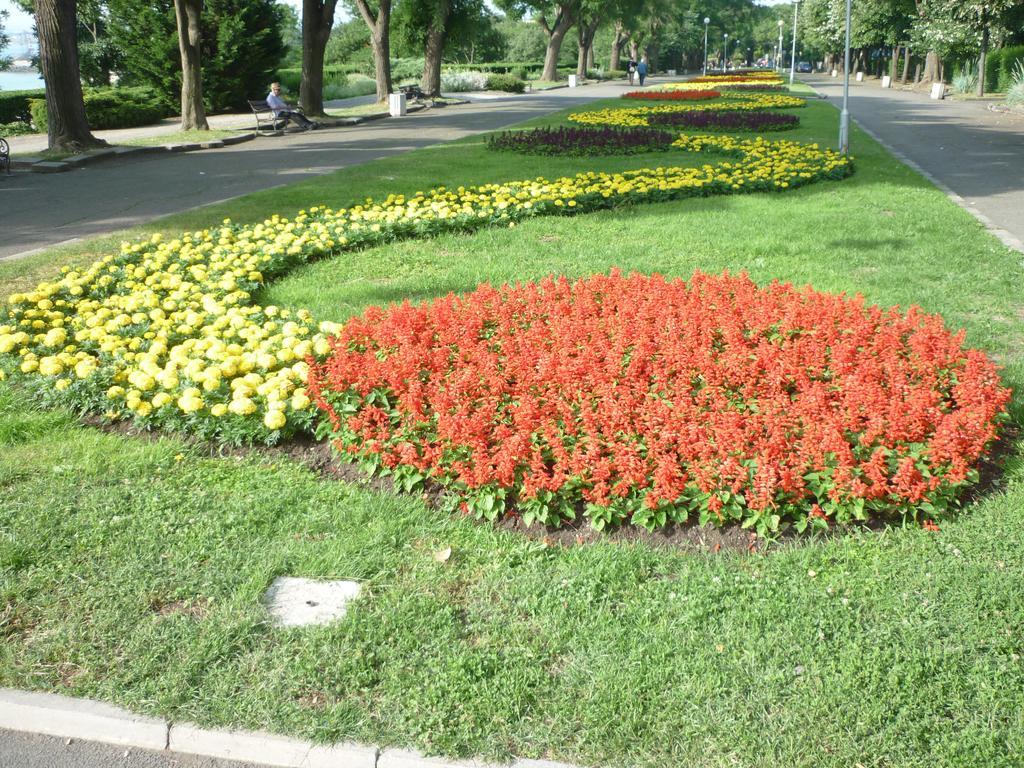 Sea Garden Plaza Apartment - Free Parking Burgas City Værelse billede